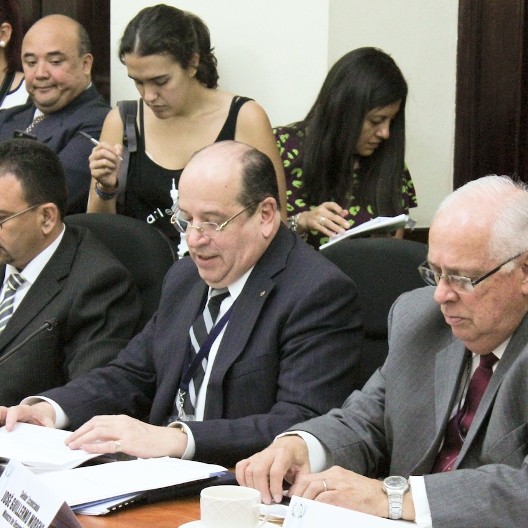 citacion en el congreso