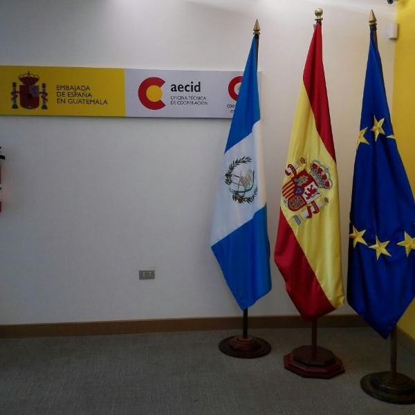 Grupo de Donantes G13