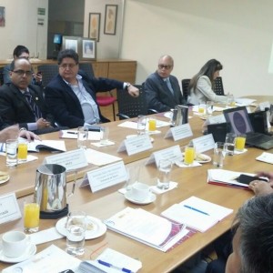 Grupo de Donantes G13