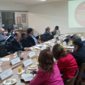 Grupo de Donantes G13