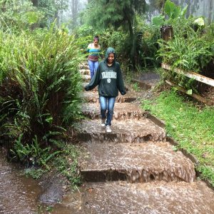 Campamento 5