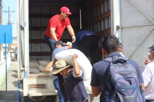 Entrega (1)