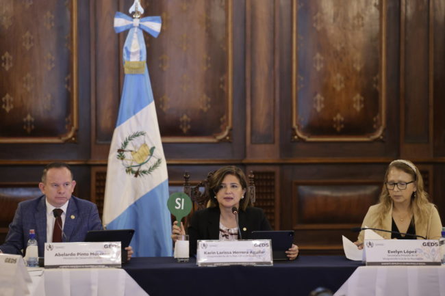 20250424__DO__VICEPRESIDENTA KARIN HERRERA LIDERA REUNION ORDINARIA DESARROLLO SOCIAL MIDES PALACIO NACIONAL 0004
