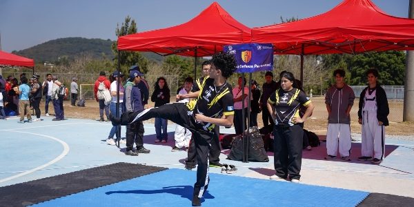 Foto 6