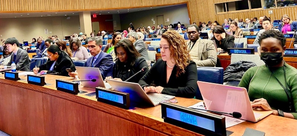 Vice-Onu